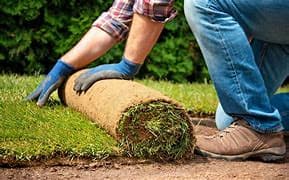 تصميم الحدائق المنزلية