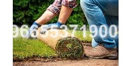 صورة 4 من مشروع تنسيق حدائق احترافي: تنسيق حدائق في مدينة جدة  | ديار جدة  في جدة 