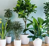 تصميم المسارات